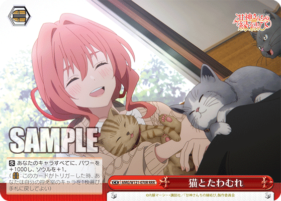 猫とたわむれ