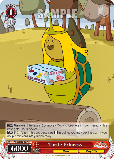 Turtle Princess