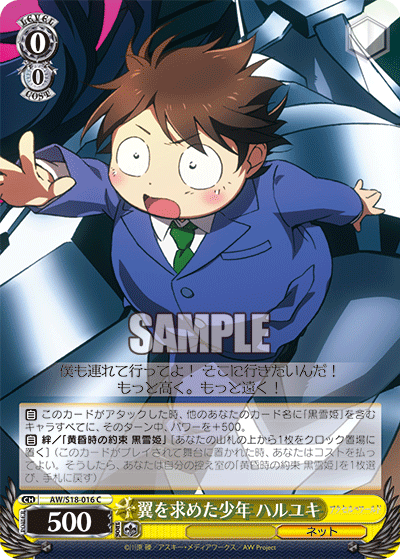 翼を求めた少年 ハルユキ