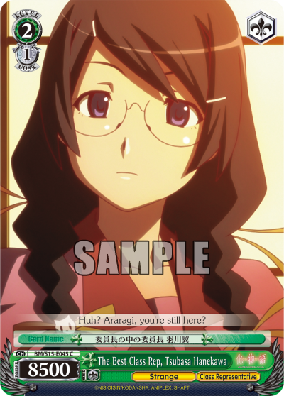 The Best Class Rep, Tsubasa Hanekawa