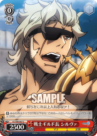 戦士ギルド長 シルヴァ