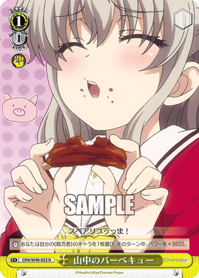 山中のバーベキュー