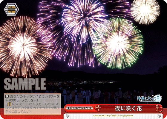 夜に咲く花