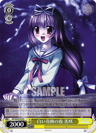 白い奇跡の夜 美咲