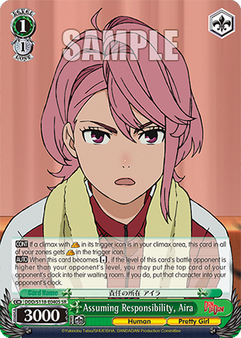 Assuming Responsibility, Aira