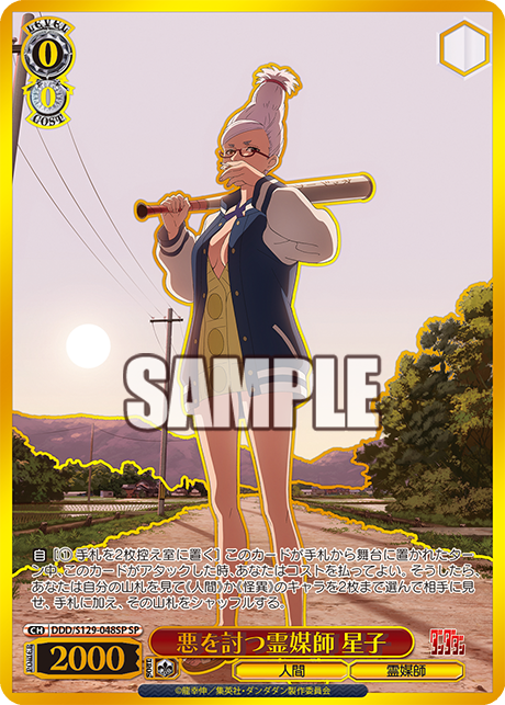 悪を討つ霊媒師 星子