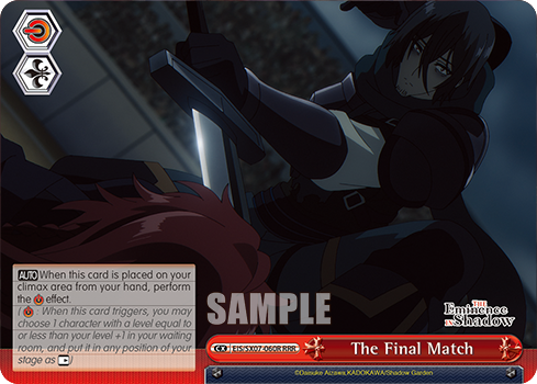 The Final Match
