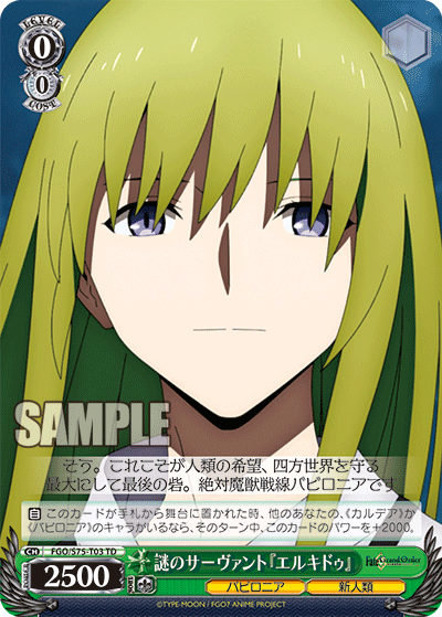 謎のサーヴァント 『エルキドゥ』