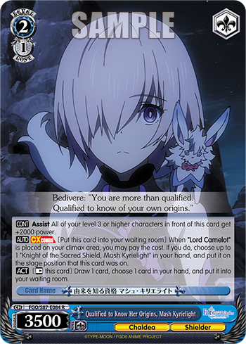 Qualified to Know Her Origins, Mash Kyrielight