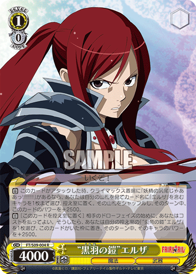 “黒羽の鎧”エルザ