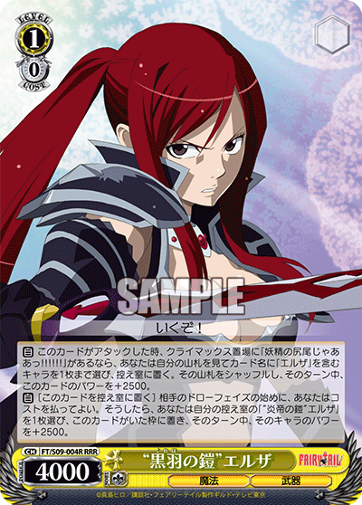 “黒羽の鎧”エルザ