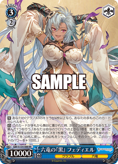 六竜の『黒』 フェディエル