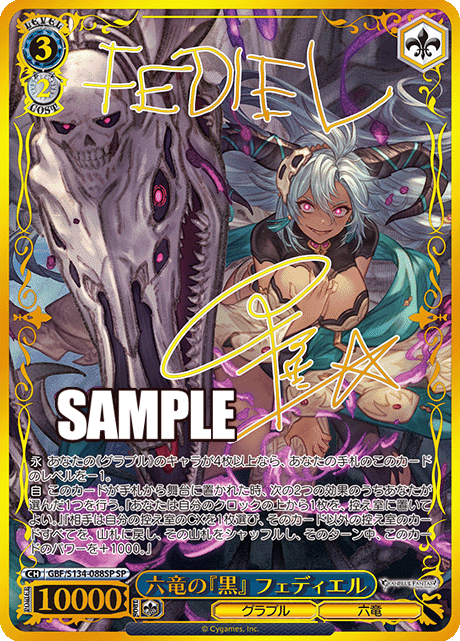 六竜の『黒』 フェディエル