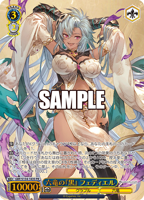 六竜の『黒』 フェディエル