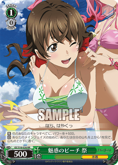魅惑のビーチ 祭