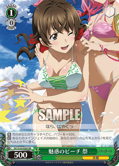 魅惑のビーチ 祭
