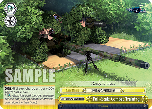 Full-Scale Combat Training