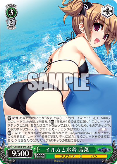 イルカと水着 蒔菜