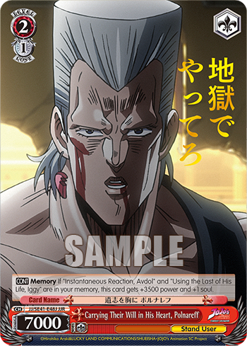 Carrying Their Will in His Heart, Polnareff