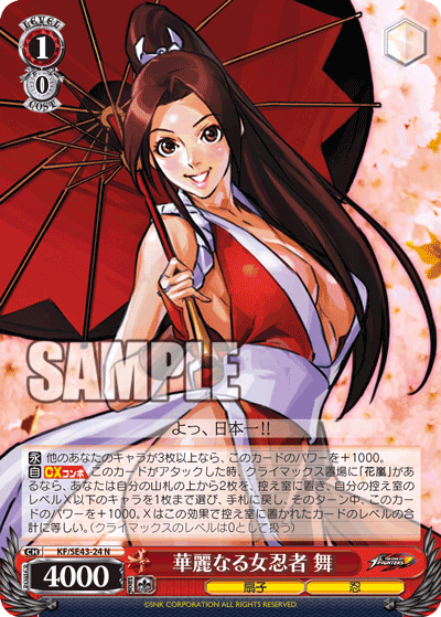 華麗なる女忍者 舞