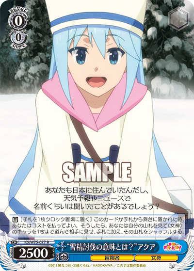 “雪精討伐の意味とは？”アクア
