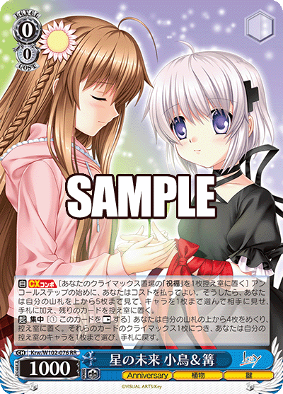 星の未来 小鳥＆篝