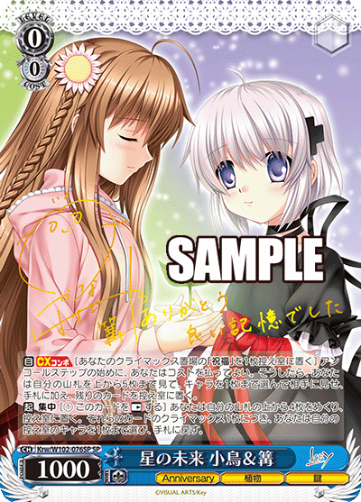 星の未来 小鳥＆篝