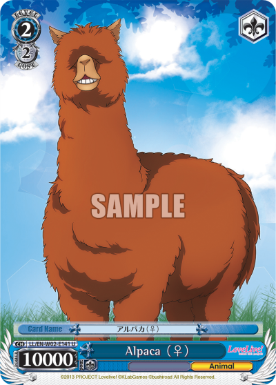 Alpaca （♀）