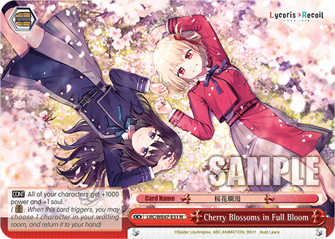 Cherry Blossoms in Full Bloom
