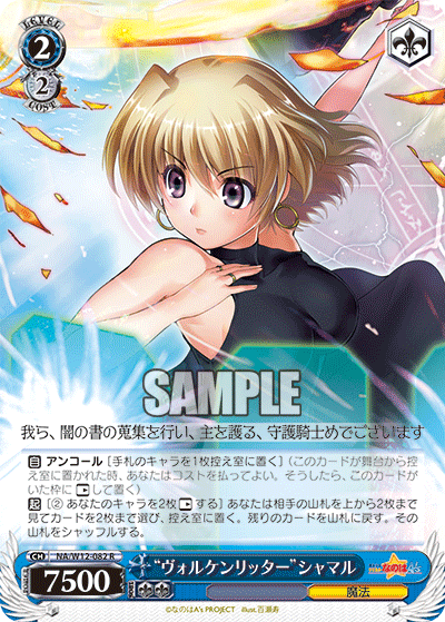 “ヴォルケンリッター”シャマル