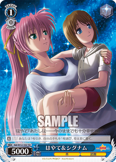 はやて＆シグナム