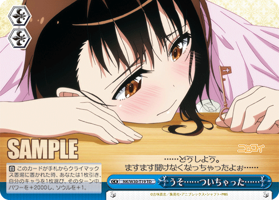うそ……ついちゃった……