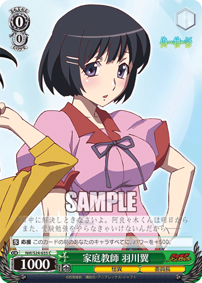 家庭教師 羽川翼