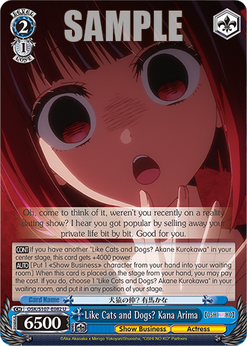 Like Cats and Dogs? Kana Arima