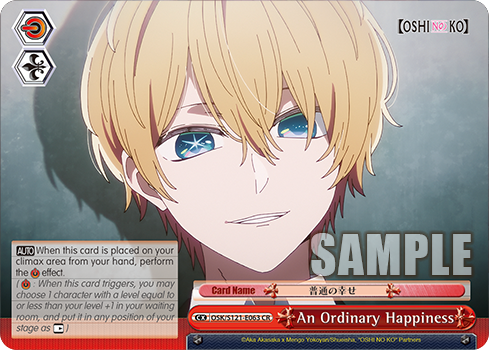 An Ordinary Happiness