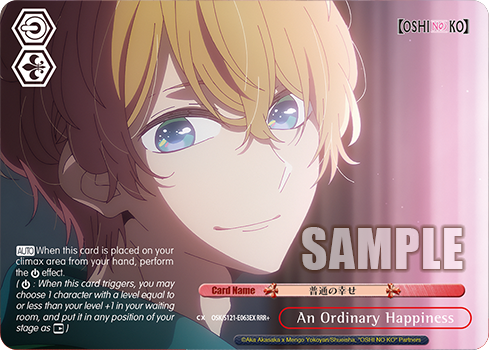 An Ordinary Happiness