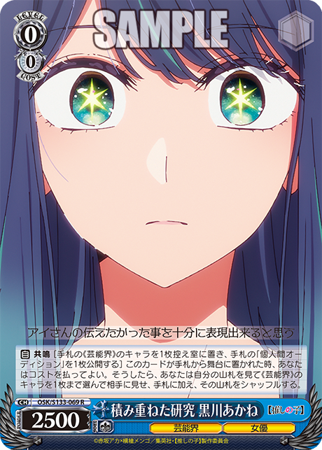 積み重ねた研究 黒川あかね