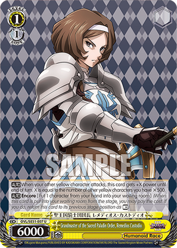 Grandmaster of the Sacred Paladin Order, Remedios Custodio