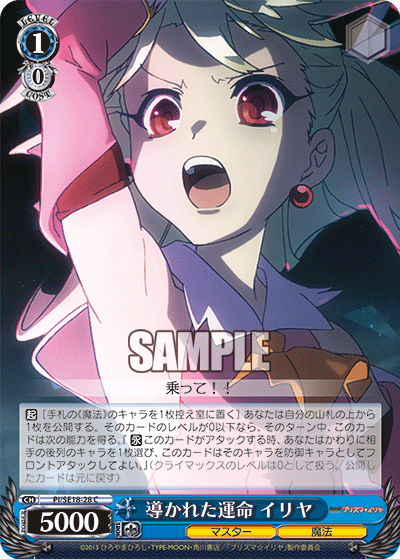 導かれた運命 イリヤ