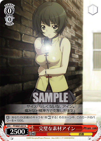 完璧な素材アイン
