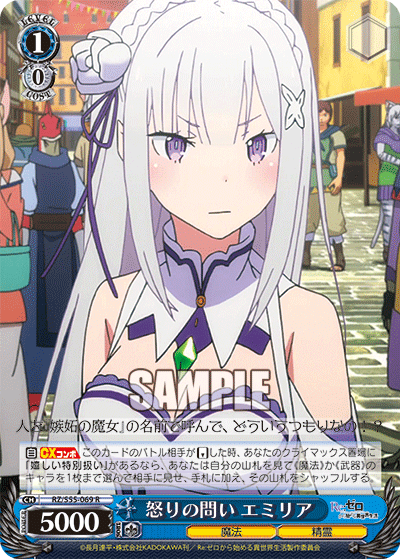 怒りの問い エミリア