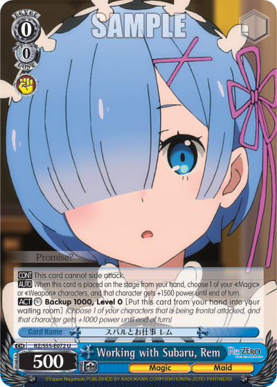 Working with Subaru, Rem