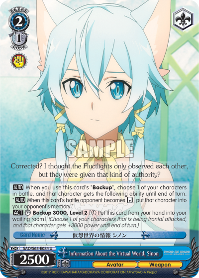 Information About the Virtual World, Sinon