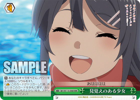 見覚えのある少女