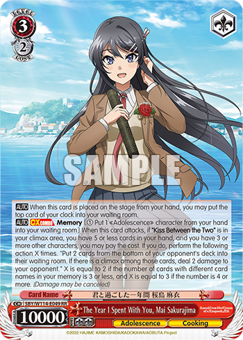 The Year I Spent With You, Mai Sakurajima