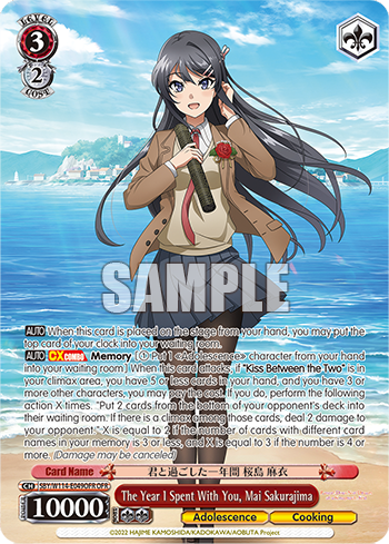 The Year I Spent With You, Mai Sakurajima
