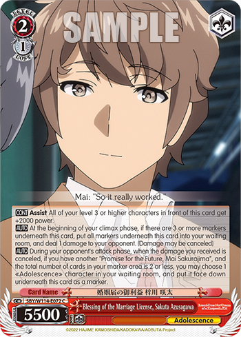 Blessing of the Marriage License, Sakuta Azusagawa