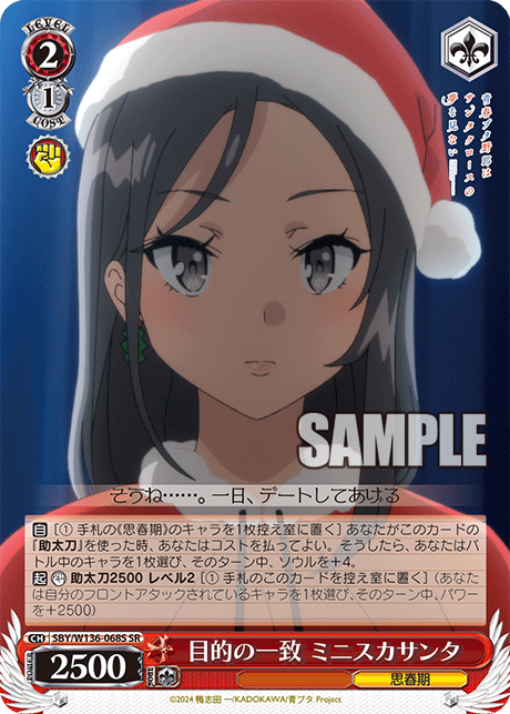 目的の一致 ミニスカサンタ