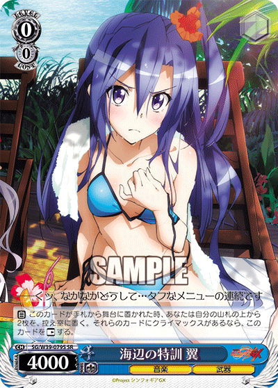 海辺の特訓 翼