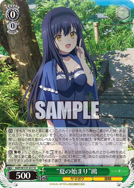 “夏の始まり”鴎